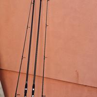 canne da pesca carpa shimano 