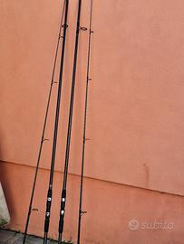 canne da pesca carpa shimano 
