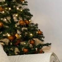 Albero di Natale non trattabile