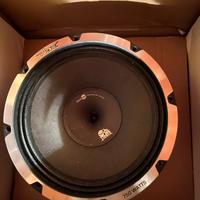 Coppia woofer vibe 25cm