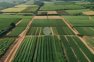 TER. AGRICOLO A PONTIROLO NUOVO