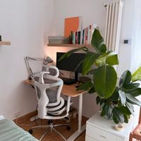 Scrivania IKEA Trotten