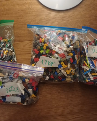 Lotto LEGO 3,15 kg: mattoncini, piastre, tegole