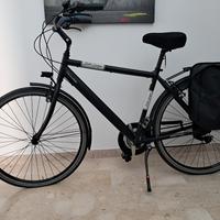 Bicicletta Belle Epoque Tecnobike 