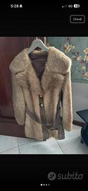 Pelliccia in Castorino