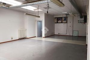 CAPANNONE A SAVIGNANO SUL RUBICONE