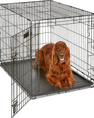 Gabbia per cani iCrate a porta singola