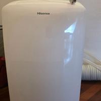 Climatizzatore/pinguino