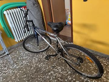 Bicicletta sportiva