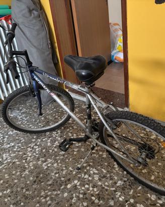Bicicletta sportiva