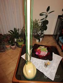 Lucidatrice pavimenti "FOLLETTO" vintage