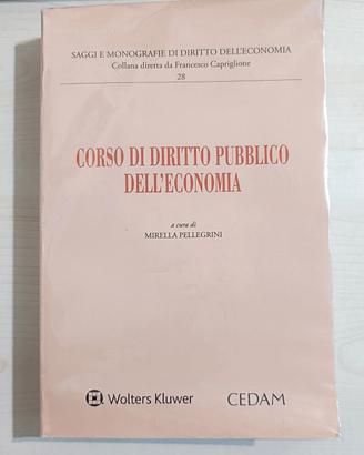 Corso di diritto pubblico dell'economia 