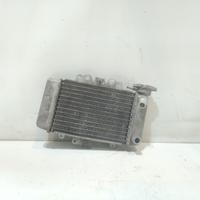 Radiatore acqua per Honda Sh 150 Sport (2006 - 200