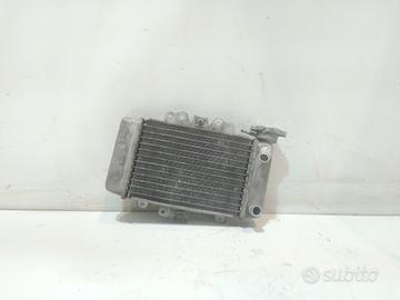 Radiatore acqua per Honda Sh 150 Sport (2006 - 200
