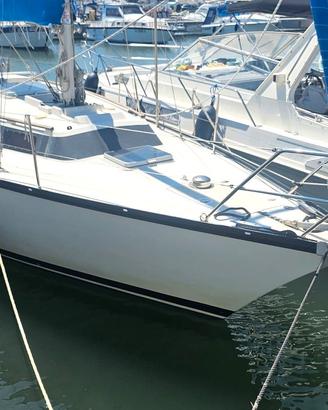 DUFOUR 31 - MOTORE DEL 2017