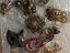 Immagine 1