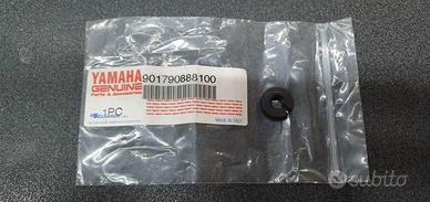 DADO REGISTRO FRIZIONE YAMAHA PER TZR-TT-SZR - 901
