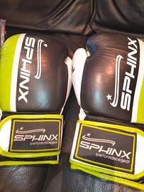 guantoni boxe 