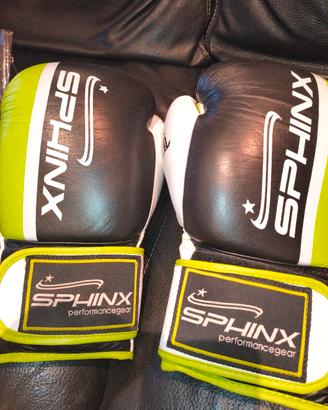 guantoni boxe 