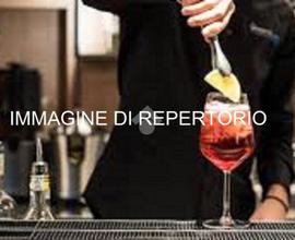ATTIVITÀ A BERGAMO