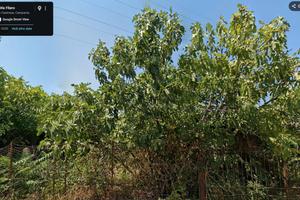 Terreno Agricolo fronte strada