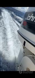 Johnson 70 cv