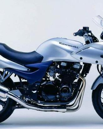 SMEMBRO Kawasaki ZR7 ZRTS 2003 ricambi