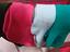 Immagine 5