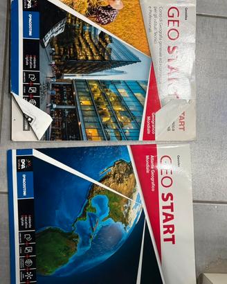 Libro “geosmart”