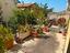 Immagine 25