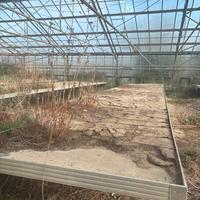 Bancali e vetri per serre