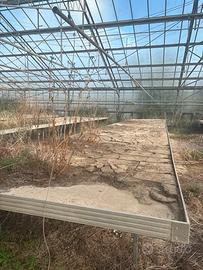 Bancali e vetri per serre