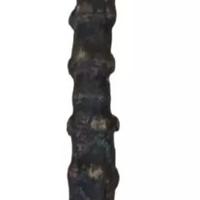 Canne de sagesse en bronze