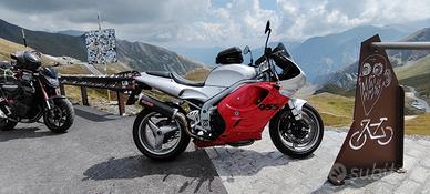 Triumph Daytona 955i