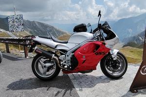 Triumph Daytona 955i