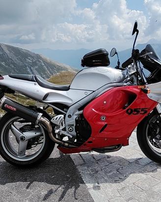 Triumph Daytona 955i