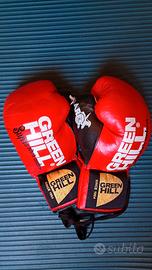 GUANTONI DA BOXE DA PRO GREEN HILL Crine