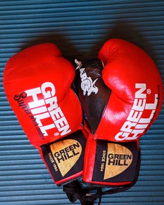 GUANTONI DA BOXE DA PRO GREEN HILL Crine