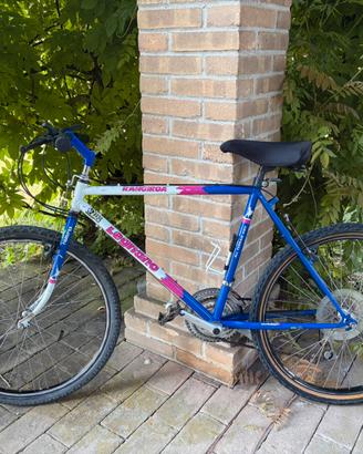 Mountain bike anni 90