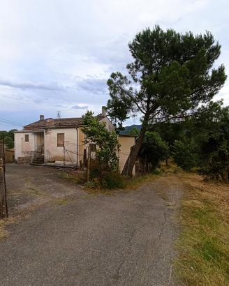 Terreno Agricolo e Rustico a Chiaromonte