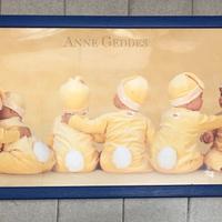 Anne Geddes - Quadro