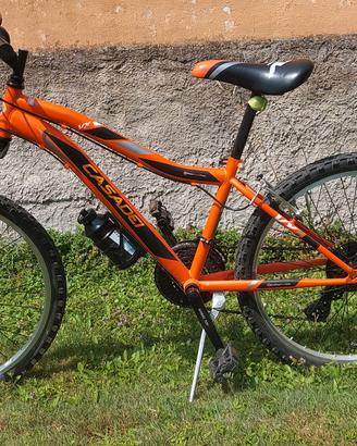 MTB casadei 24"