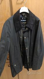 Giaccone Ashby Barbour e trapuntato Polarquit