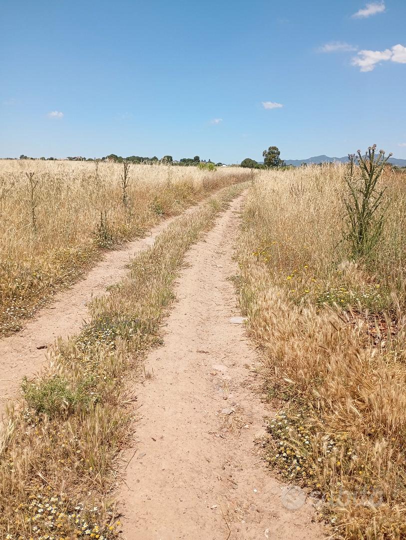 Località Bellavista, terreno 16000 mq - Vista 3