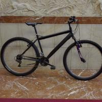 Bici mtb