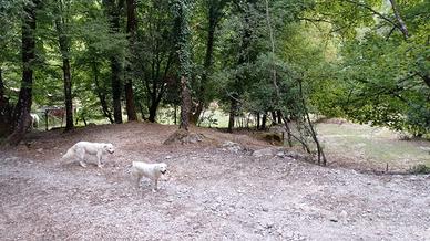 Terreno pianeggiante