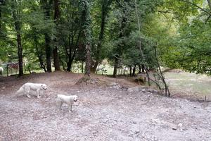 Terreno pianeggiante