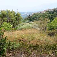 Terreno Agricolo - Castelbottaccio