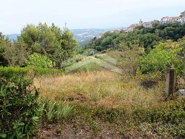 Terreno Agricolo - Castelbottaccio