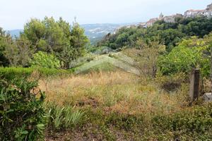 Terreno Agricolo - Castelbottaccio